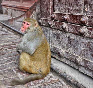 2 NIGHTS DELHI and AGRA TOUR