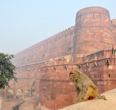 Authentic Cooking Class and Taj Mahal Tour from Delhi