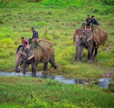 Golden Triangle Nepal (Kathmandu-Pokhara-Chitwan Tour) Tour