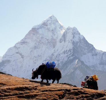 Everest Base Camp Trekking With Luxury 5 Star Wind Down