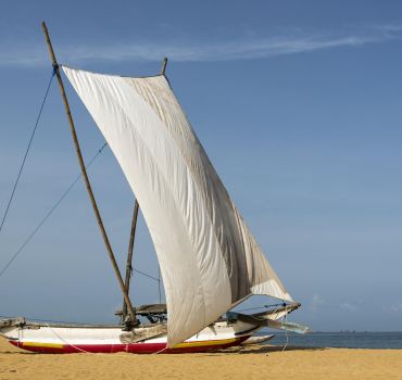 Catamaran Sunset Sailing in Trincomalee