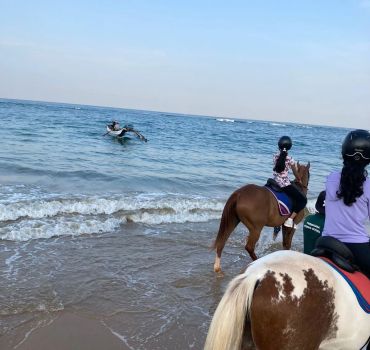 Horse Riding in Mount Lavinia