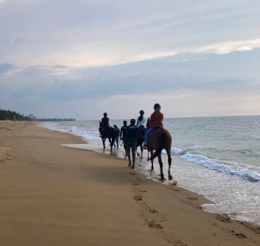 Horse Riding in Mount Lavinia