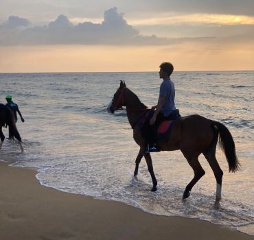 Horse Riding in Mount Lavinia