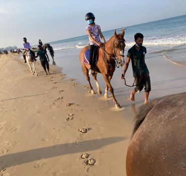 Horse Riding in Colombo