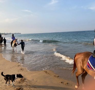 Horse Riding in Colombo