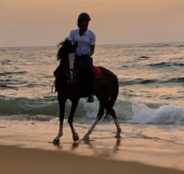 Horse Riding in Mount Lavinia
