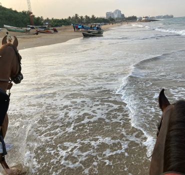 Horse Riding in Colombo