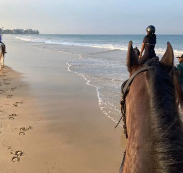 Horse Riding in Colombo