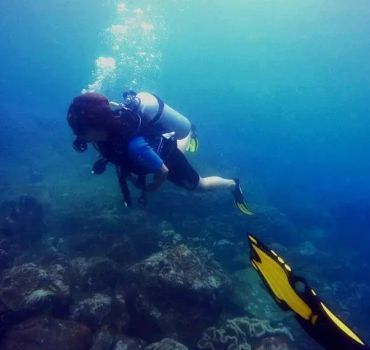 Scuba Diving in Negombo