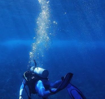 Scuba Diving in Negombo