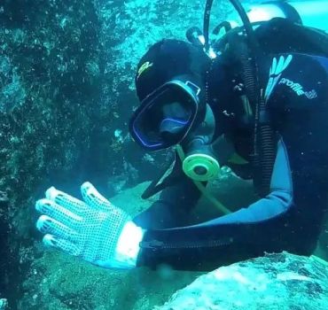 Scuba Diving in Trincomalee
