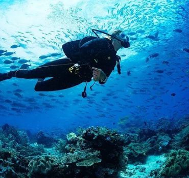 Scuba Diving in Negombo