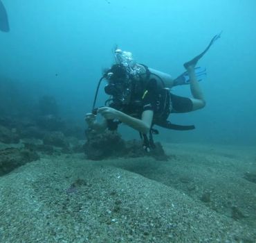 Scuba Diving in Trincomalee