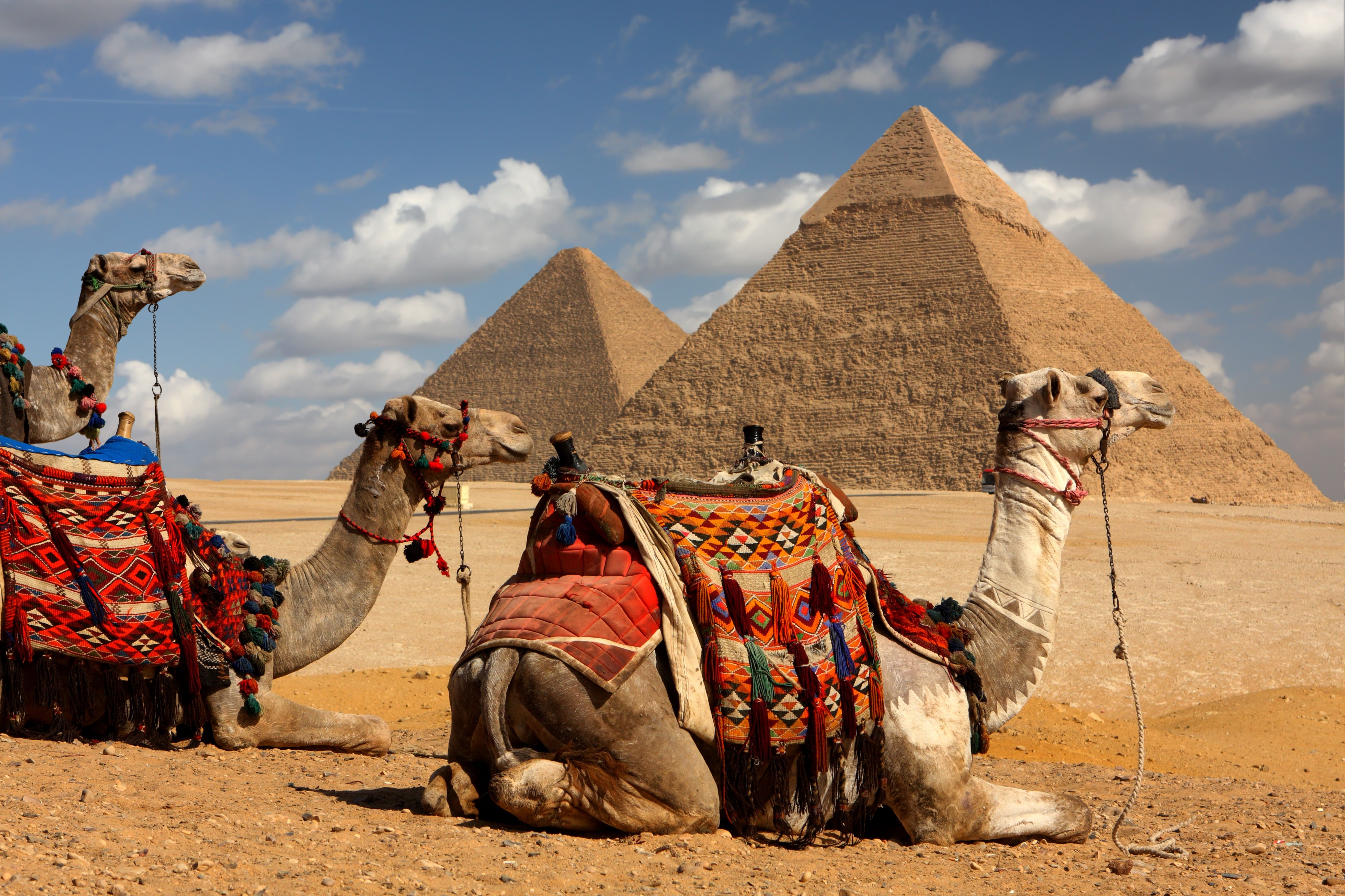 10 Things To Do In Egypt In 2022