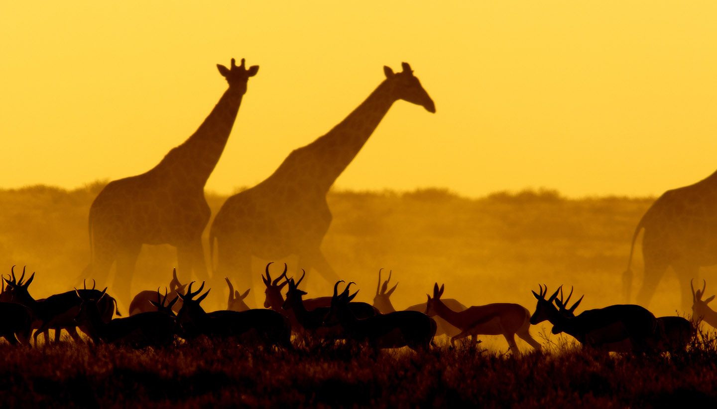 Namibia