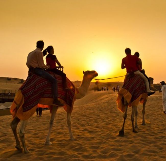 Camel Trekking Desert Safari with Desert Camp Dinner