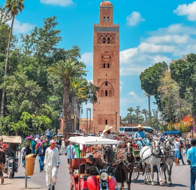 Marrakech City Tour