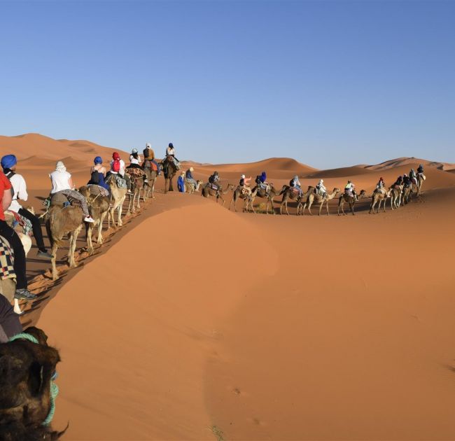 Casablanca Tours Morocco 9 Days