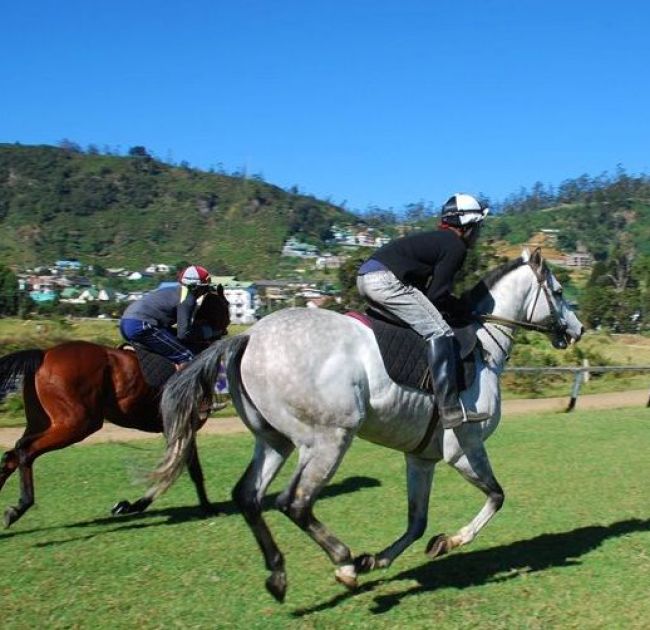 Horse Riding in Nuwara Eliya